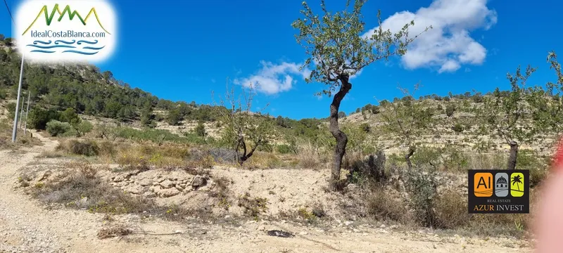 Casa de Campo en Relleu - 4