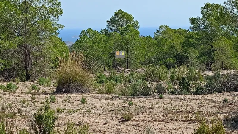 Parcela en Relleu - 3