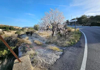 Parcela en Relleu