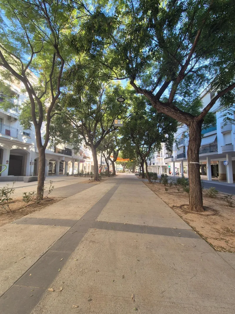 Local Comercial en Altea - 5