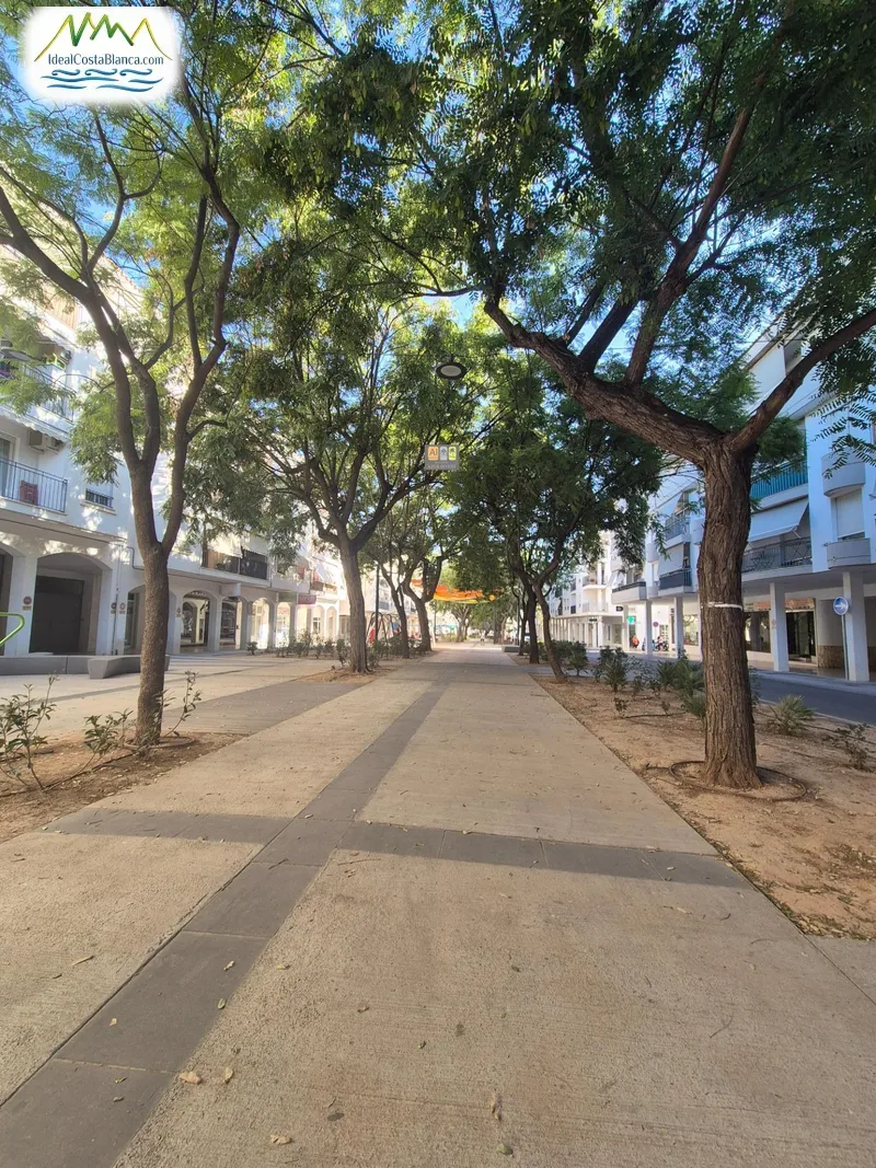 Local Comercial en Altea - 5