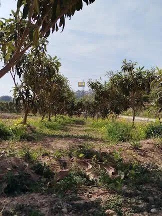 Casa de Campo en La Nucía - 15