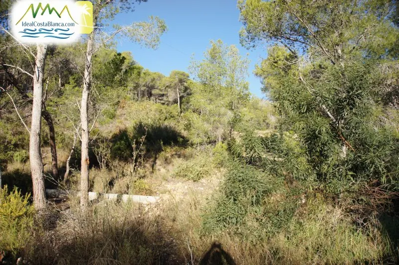 Parcela en Altea la vella - 4