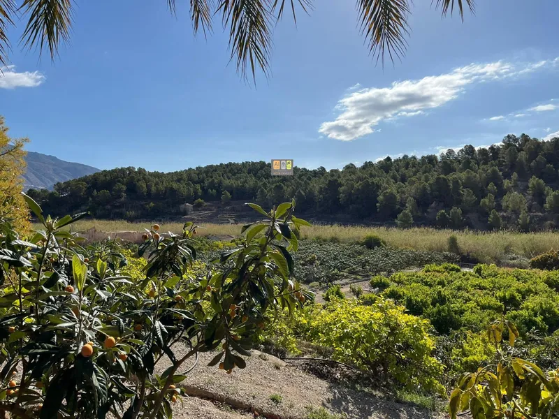 Casa de Campo en Callosa d'en Sarrià - 15