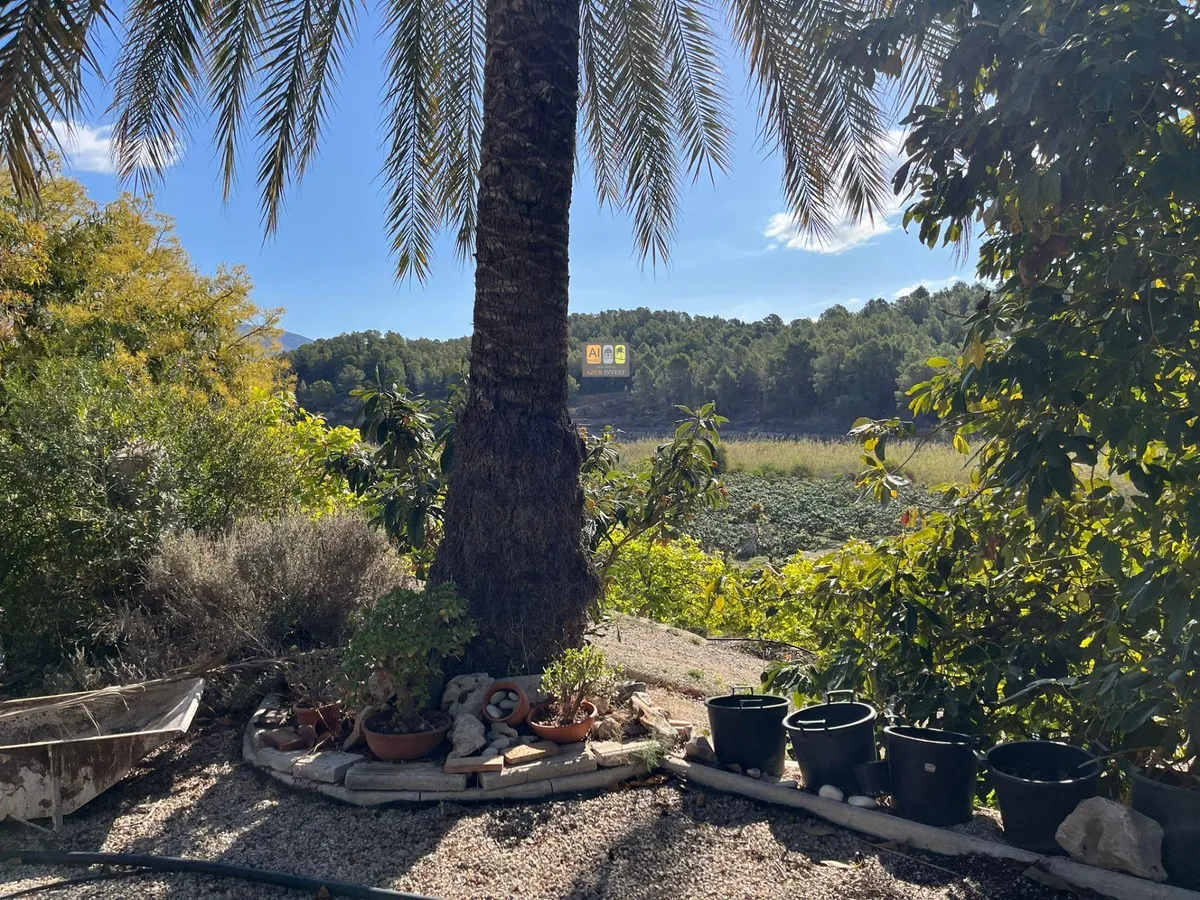 Casa de Campo en Callosa d'en Sarrià - Main