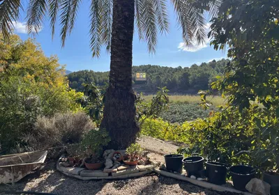 Casa de Campo en Callosa d'en Sarrià