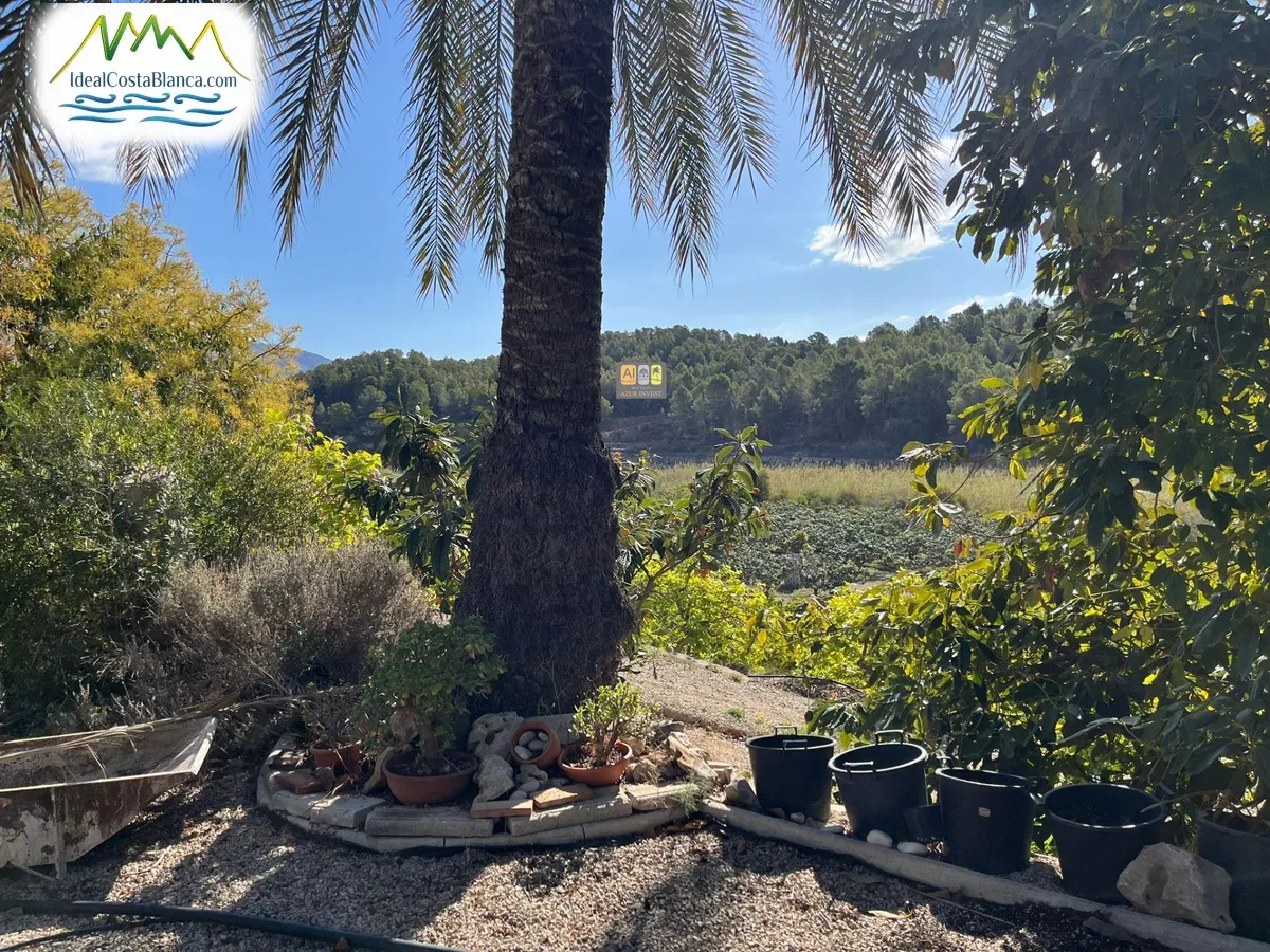 Casa de Campo en Callosa d'en Sarrià - Main