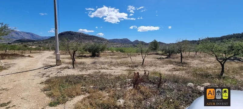 Casa de Campo en Relleu - 29