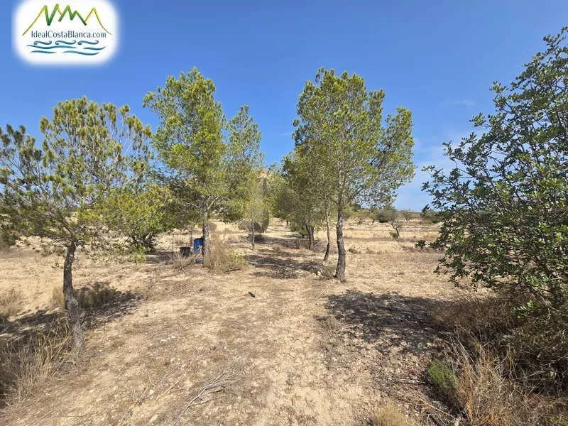 Parcela en Relleu - 6