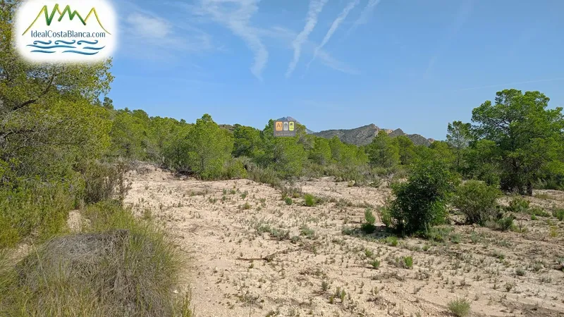 Parcela en Relleu - 5