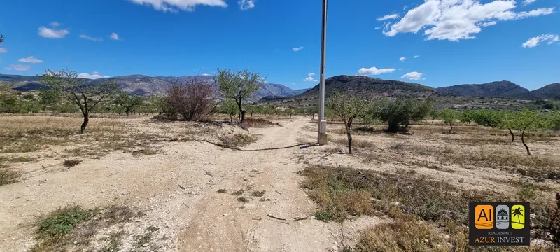 Casa de Campo en Relleu - 28