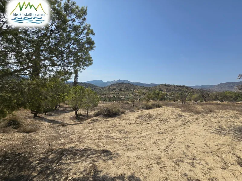 Parcela en Relleu - 7