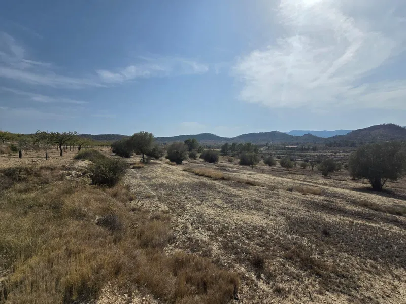Parcela en Relleu - 5