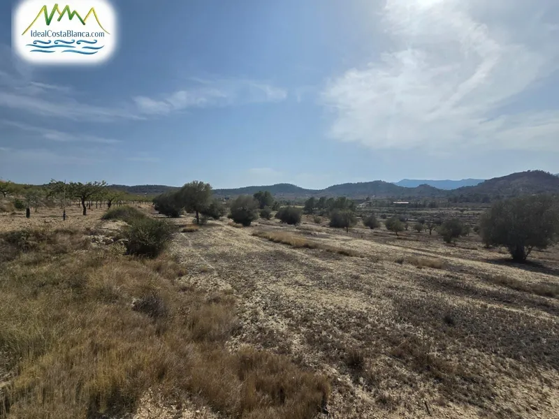 Parcela en Relleu - 5