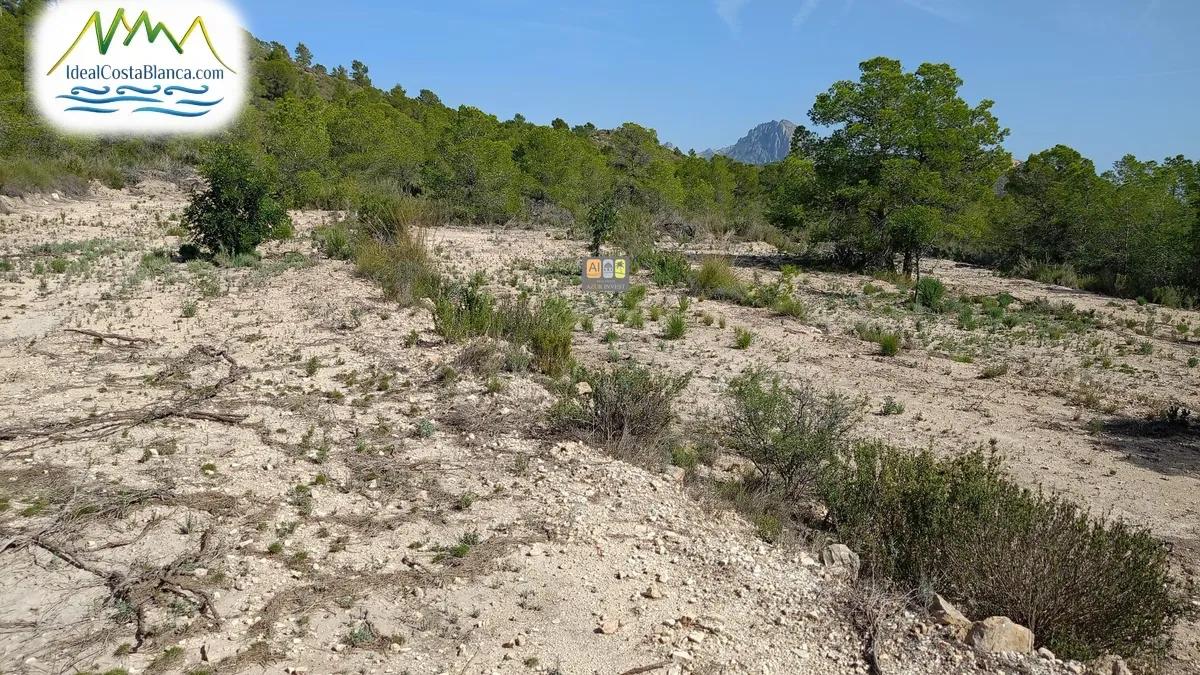 Parcela en Relleu - Main