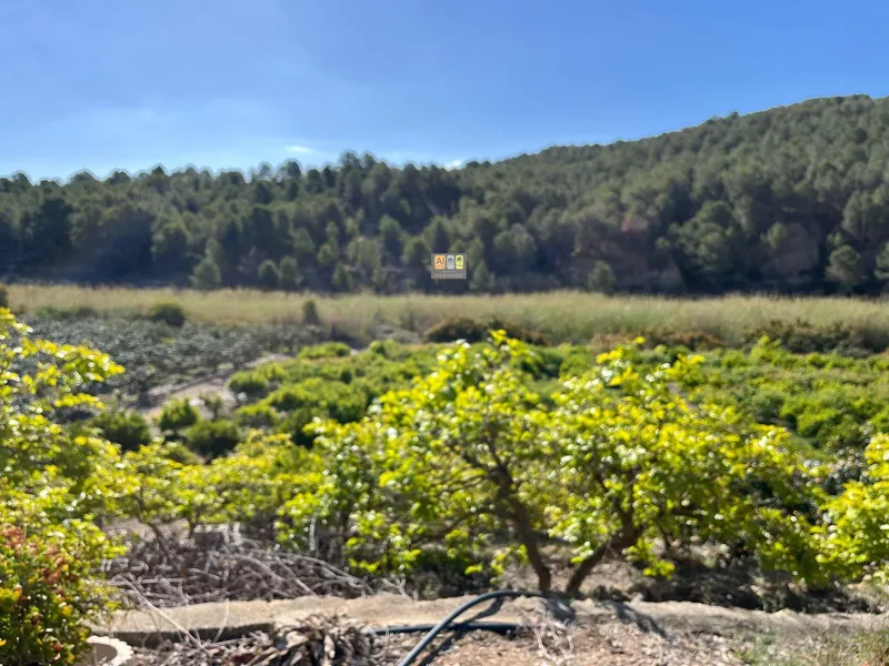 Casa de Campo en Callosa d'en Sarrià - 18