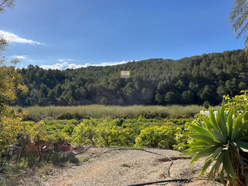 Casa de Campo en Callosa d'en Sarrià - 17