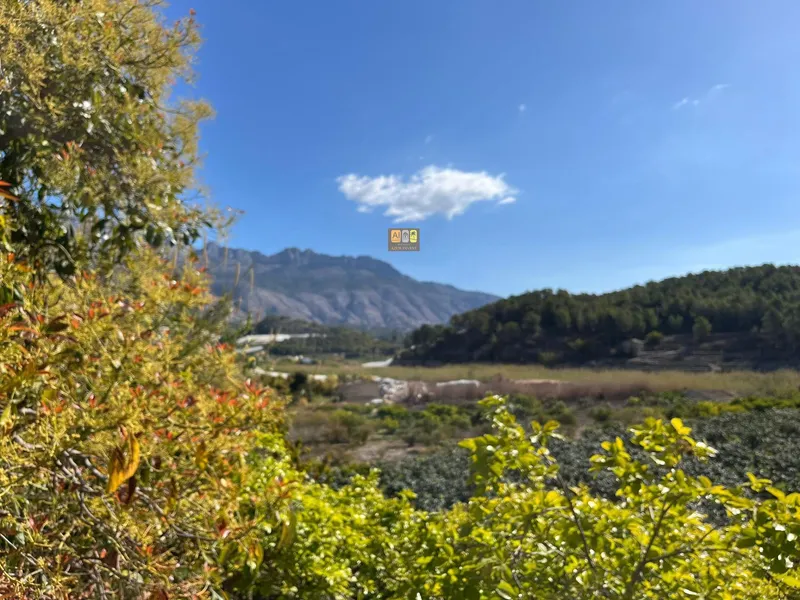 Casa de Campo en Callosa d'en Sarrià - 21