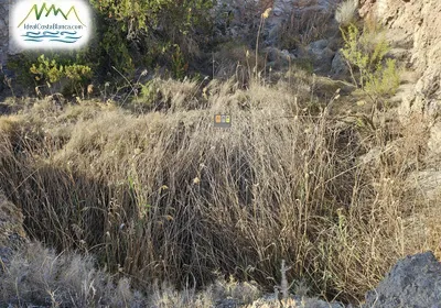 Parcela en La Nucía