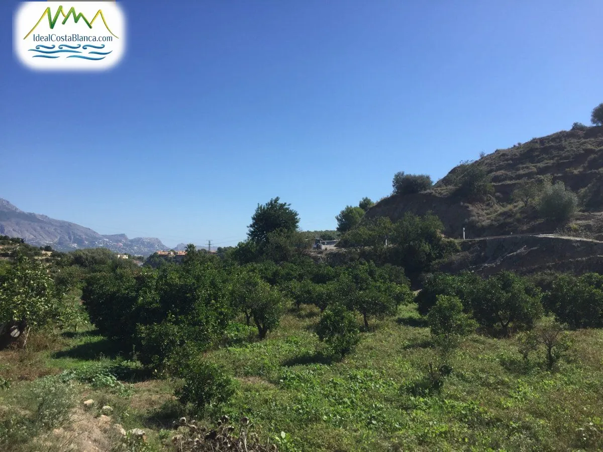 Parcela en La Nucía - Main