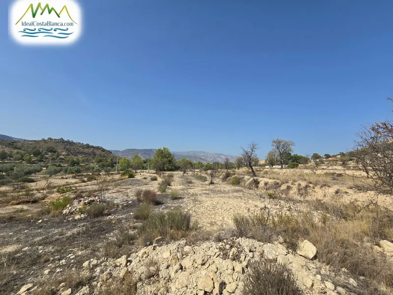 Parcela en Relleu - 8