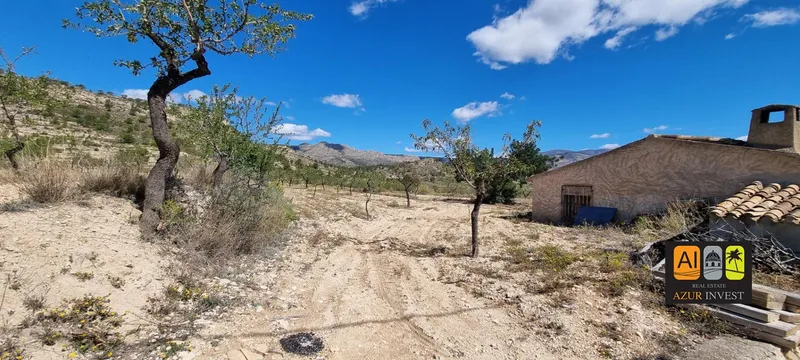 Casa de Campo en Relleu - 9