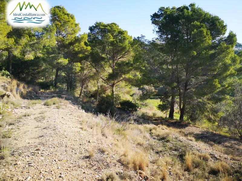 Parcela en Altea la vella - 4