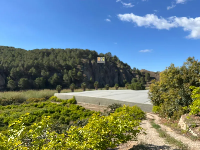 Casa de Campo en Callosa d'en Sarrià - 16