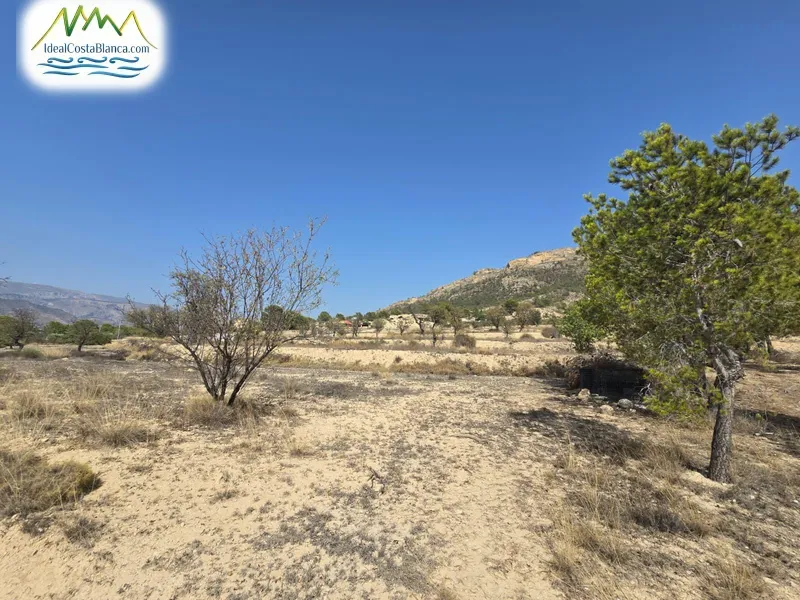 Parcela en Relleu - 3