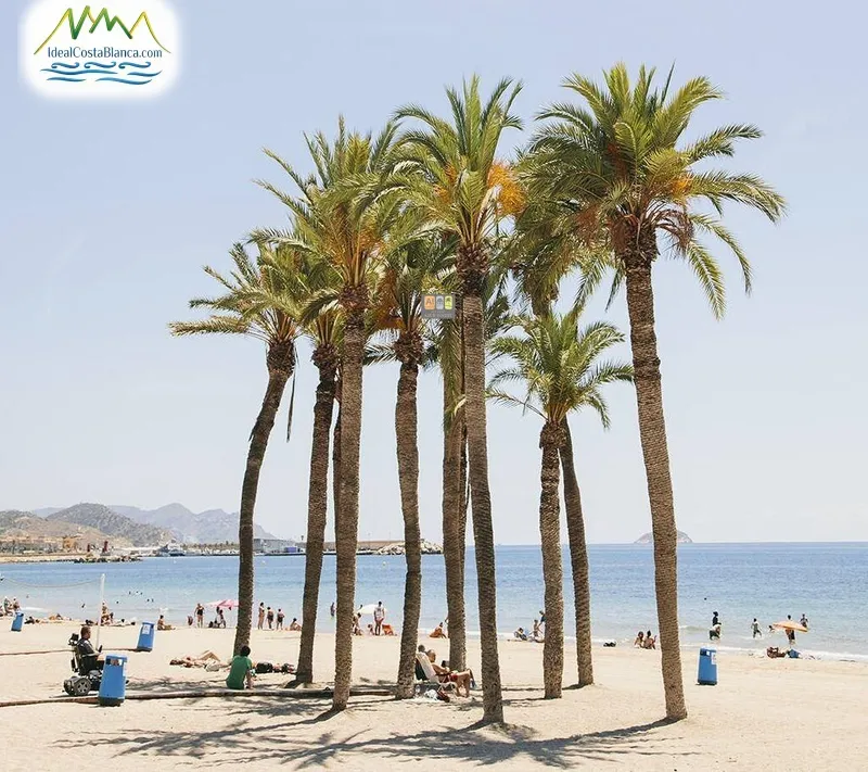 Parcela en Villajoyosa - 3