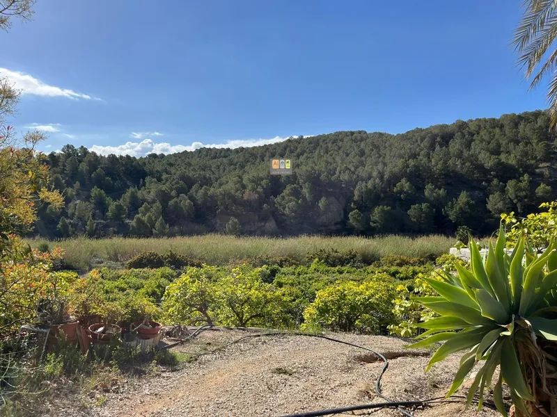 Parcela en Callosa d'en Sarrià - 2