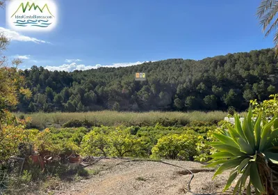 Parcela en Callosa d'en Sarrià