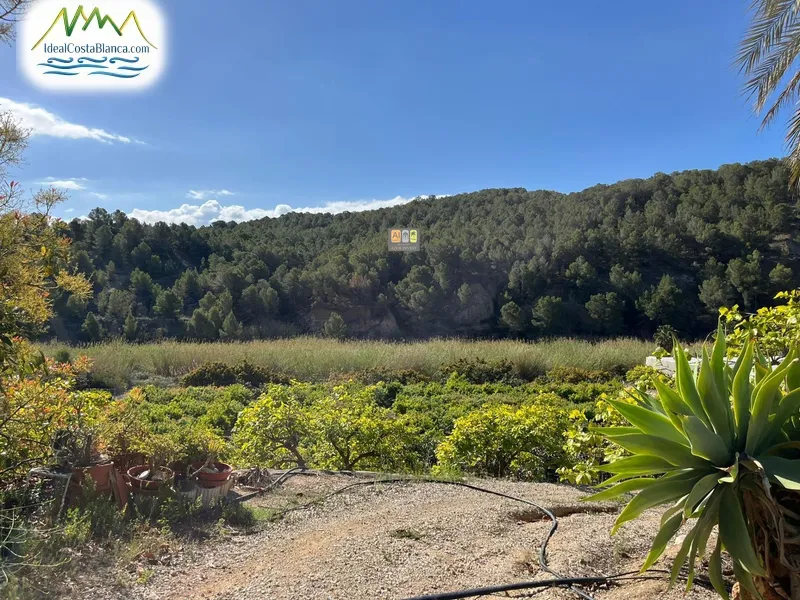Parcela en Callosa d'en Sarrià - 2