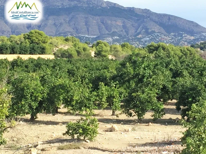 Casa de Campo en Altea - 6