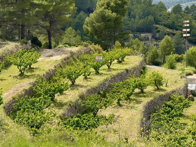 Casa de Campo en Sella - 4