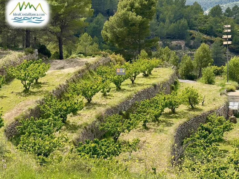 Casa de Campo en Sella - 4