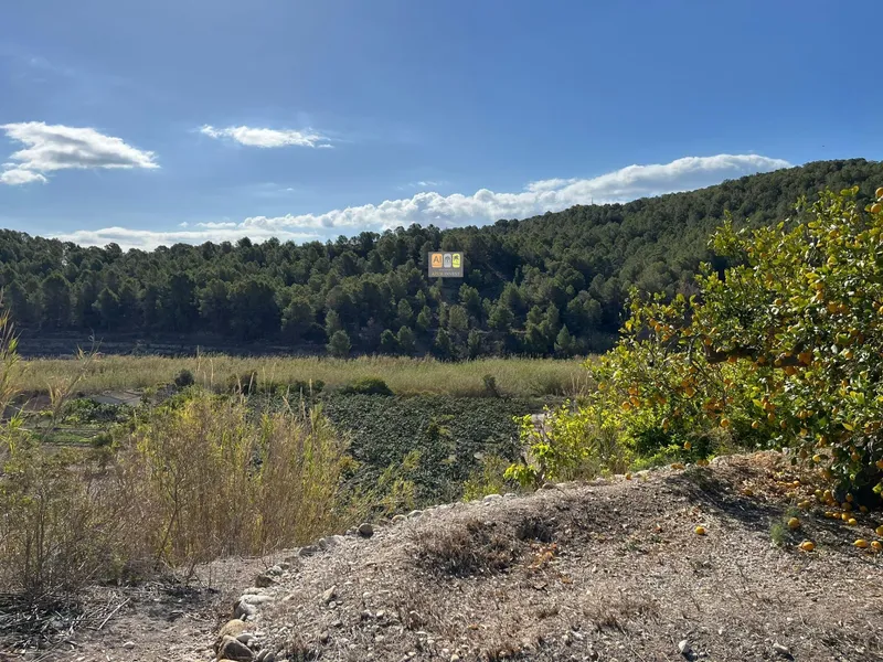 Casa de Campo en Callosa d'en Sarrià - 20
