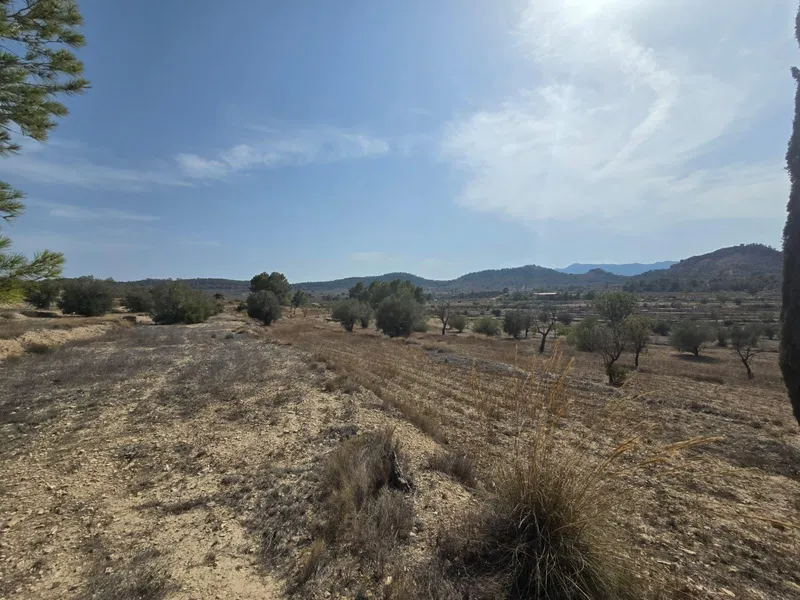 Parcela en Relleu - 4