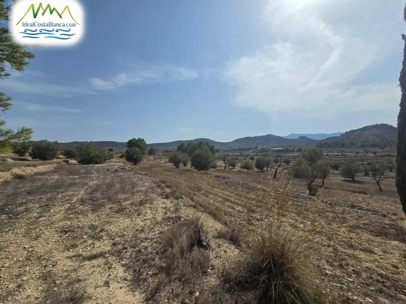 Parcela en Relleu - 4