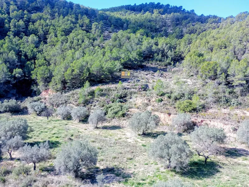 Parcela en Relleu - 18