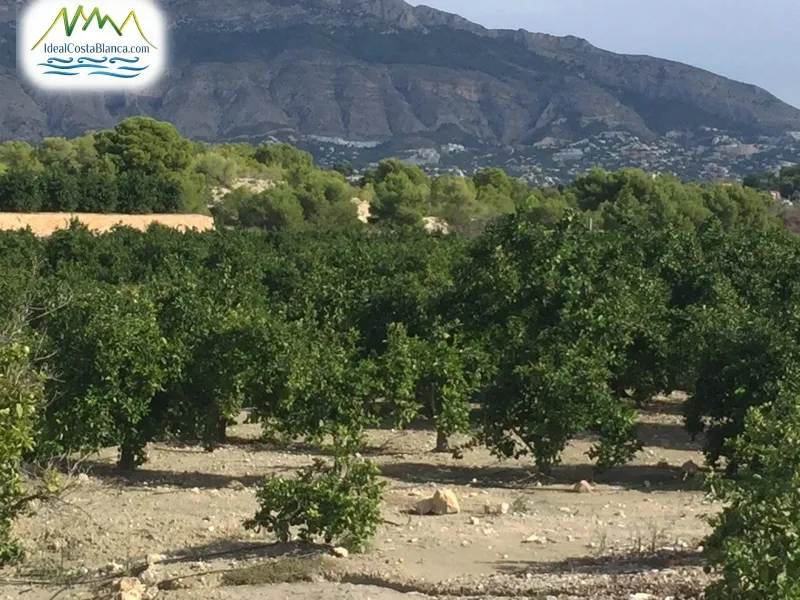 Casa de Campo en Altea - 4