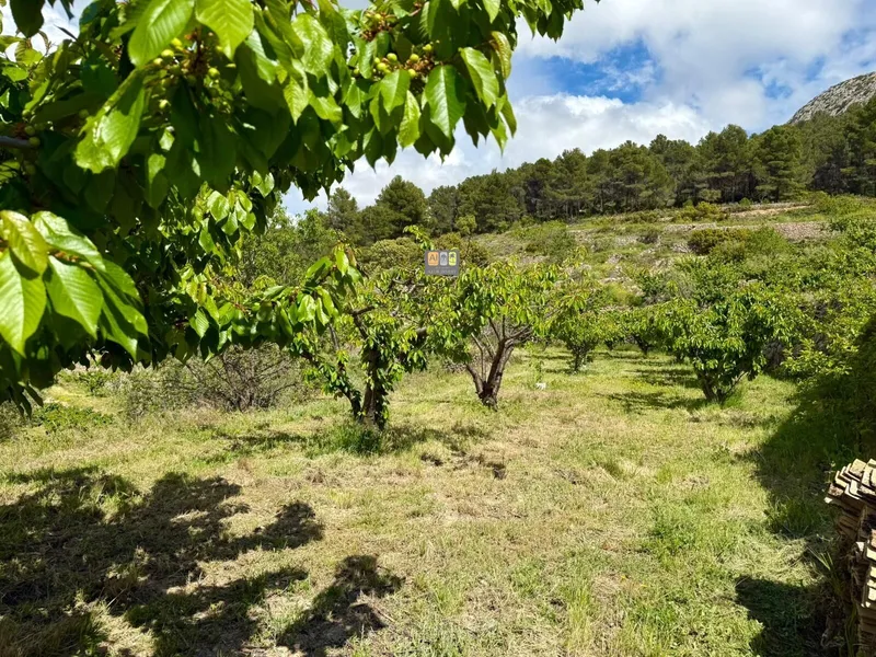 Casa de Campo en Sella - 9