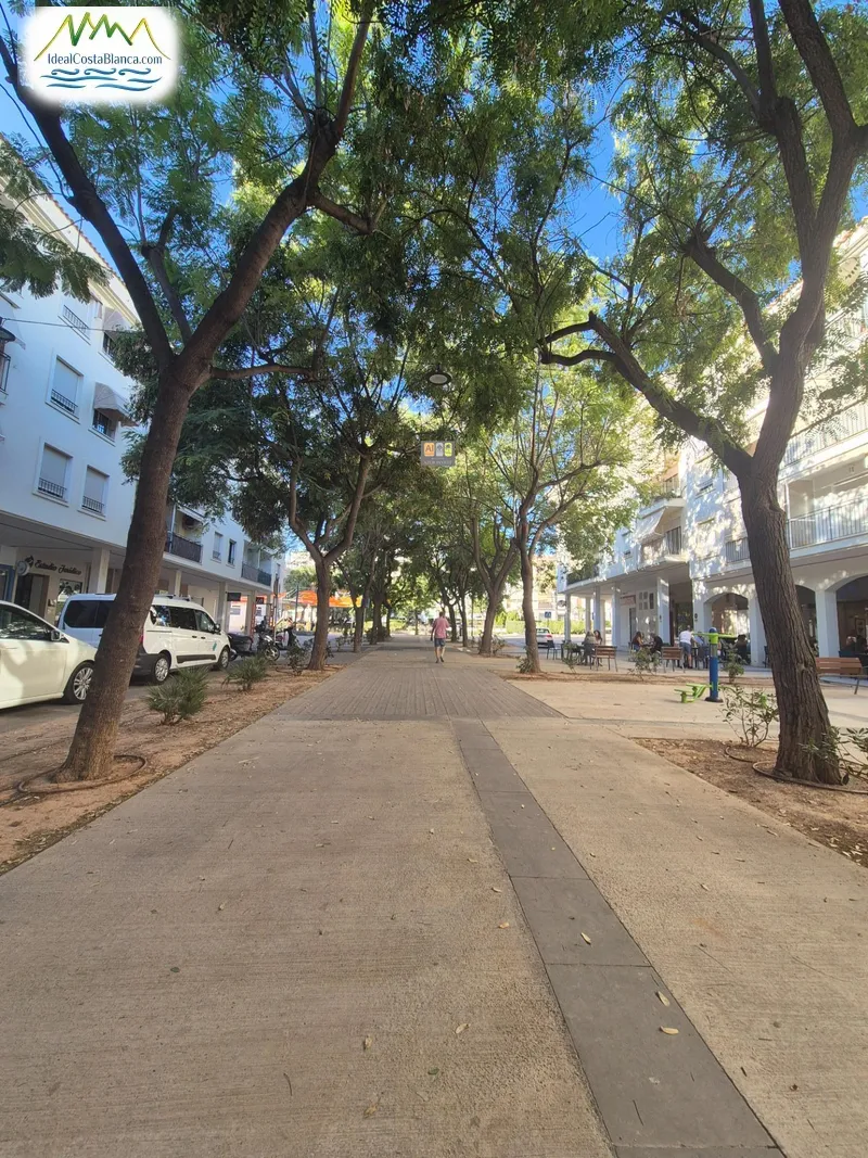 Local Comercial en Altea - 6