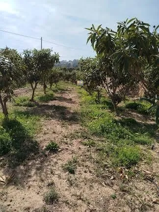 Casa de Campo en La Nucía - 12