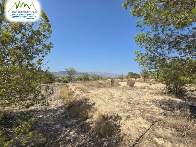 Parcela en Relleu - 2