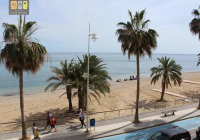Local Comercial en Altea