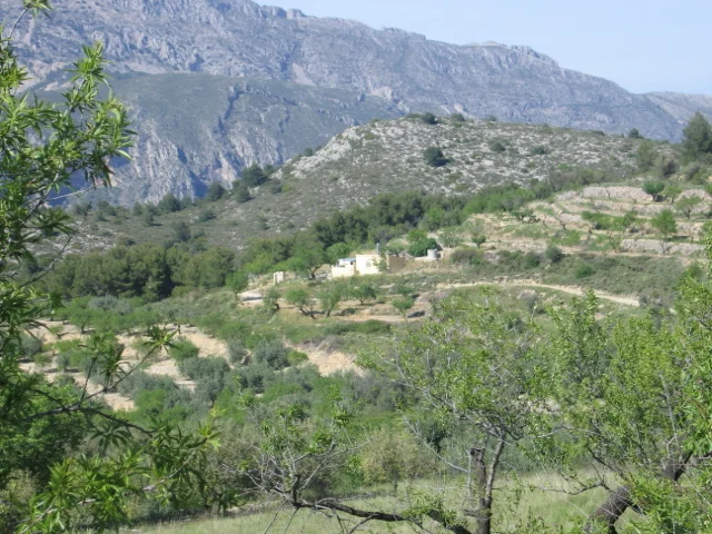 Finca con 3 edificaciones independientes – Confrides - 55
