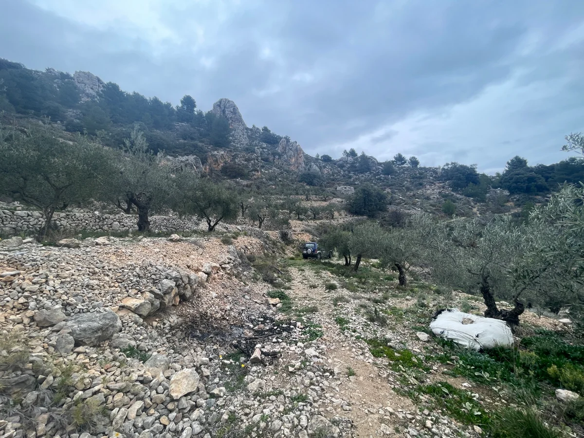 Casita de piedra en Confrides - 21