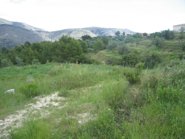 Finca con 3 edificaciones independientes – Confrides - 63