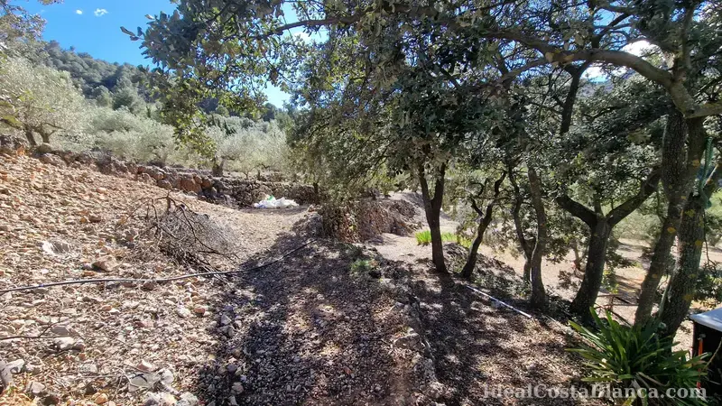 Terreno con construcción a reformar en Confrides - 15